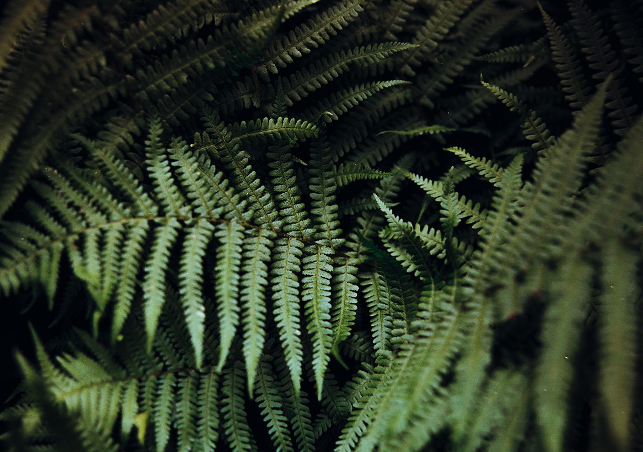 Wander TERRITORIO NATURALEZA Wander TERRITORIO NATURALEZA